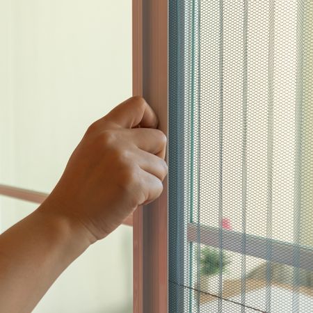 Pilise Sineklik Sistemleri